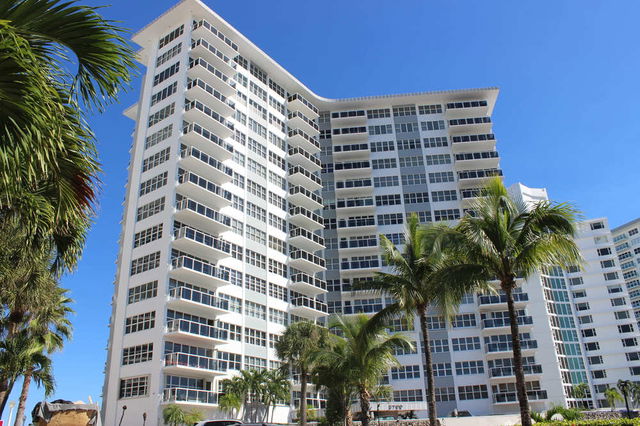 Royal Ambassador  photo 3